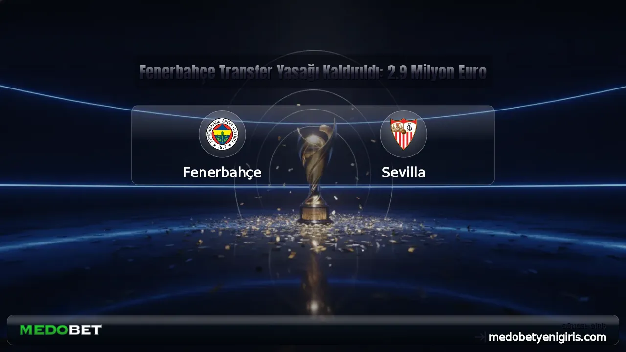 Fenerbahçe Transfer Yasağı Kaldırıldı: 2.9 Milyon Euro