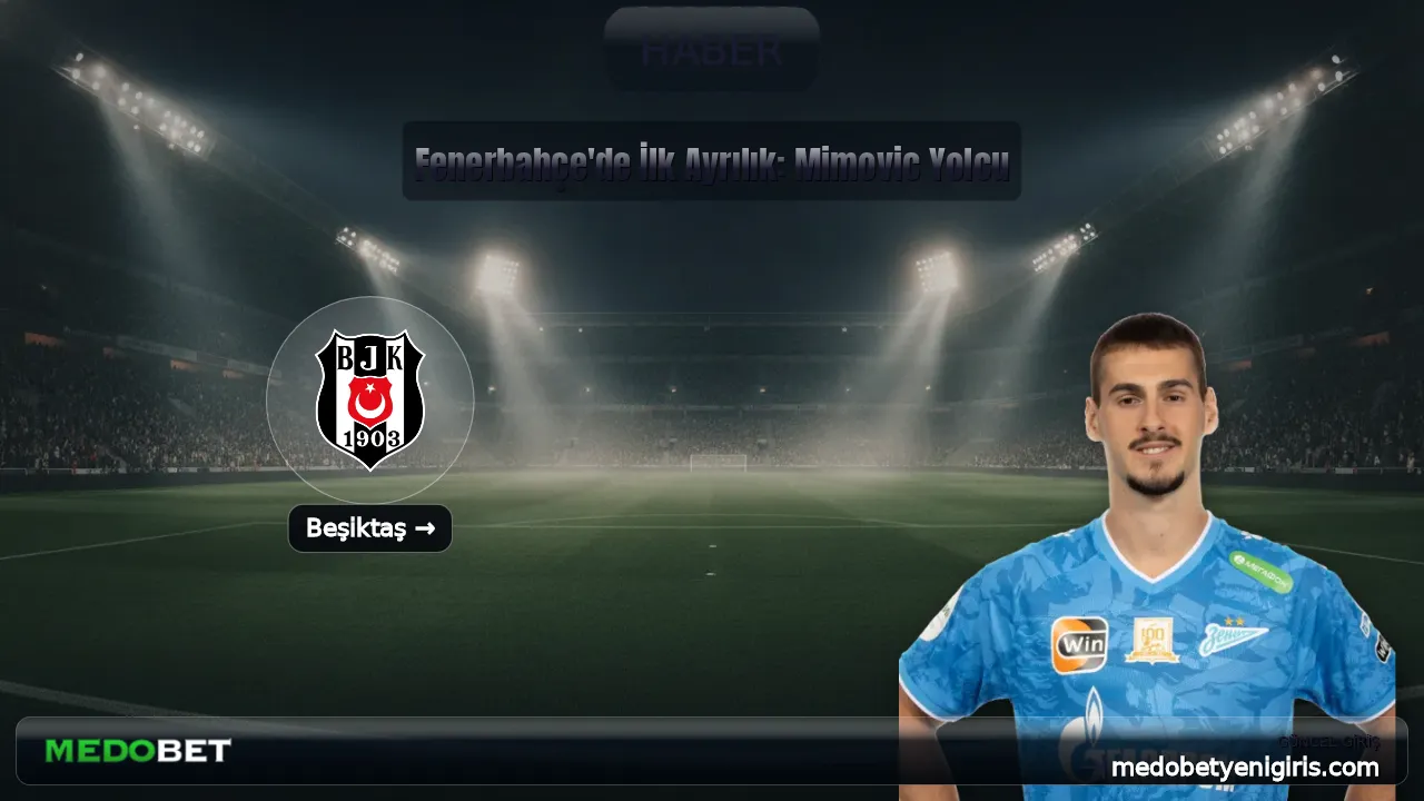 Fenerbahçe'de İlk Ayrılık: Mimovic Yolcu